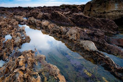 White Point Tide Pools