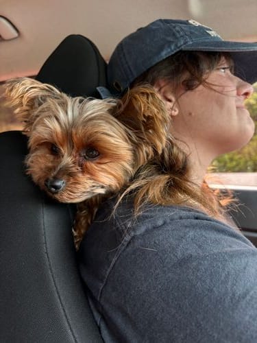 snuggle with your dog, or buy a dog