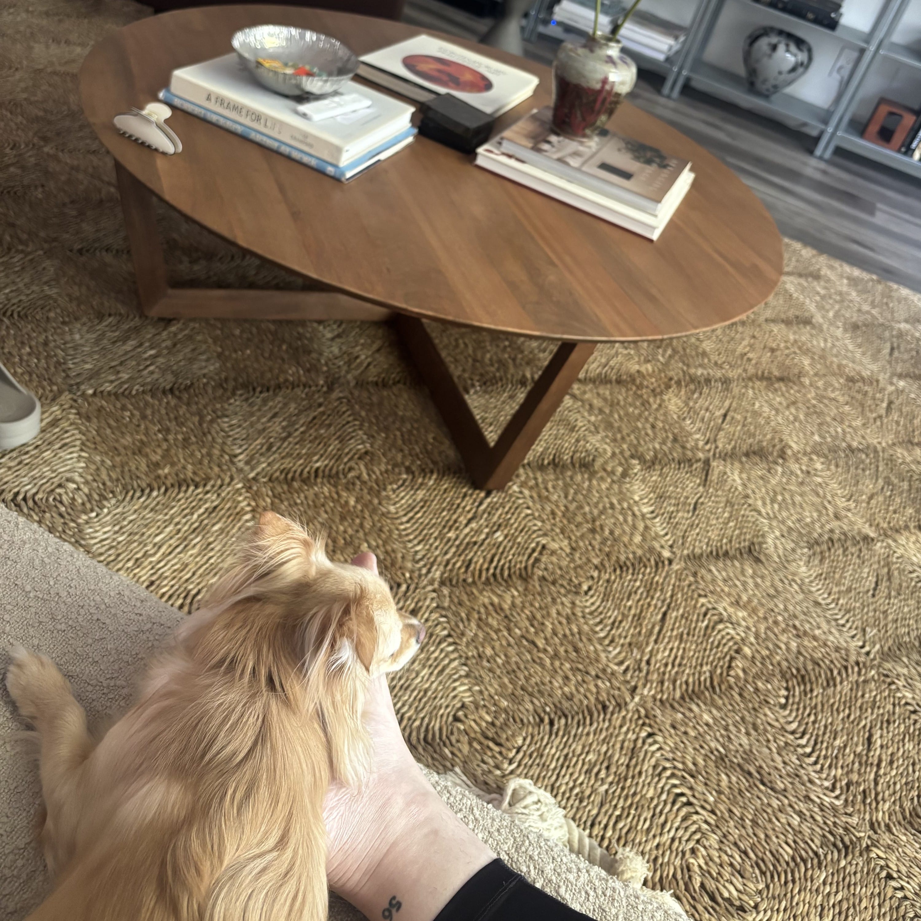 Dog using foot as headrest