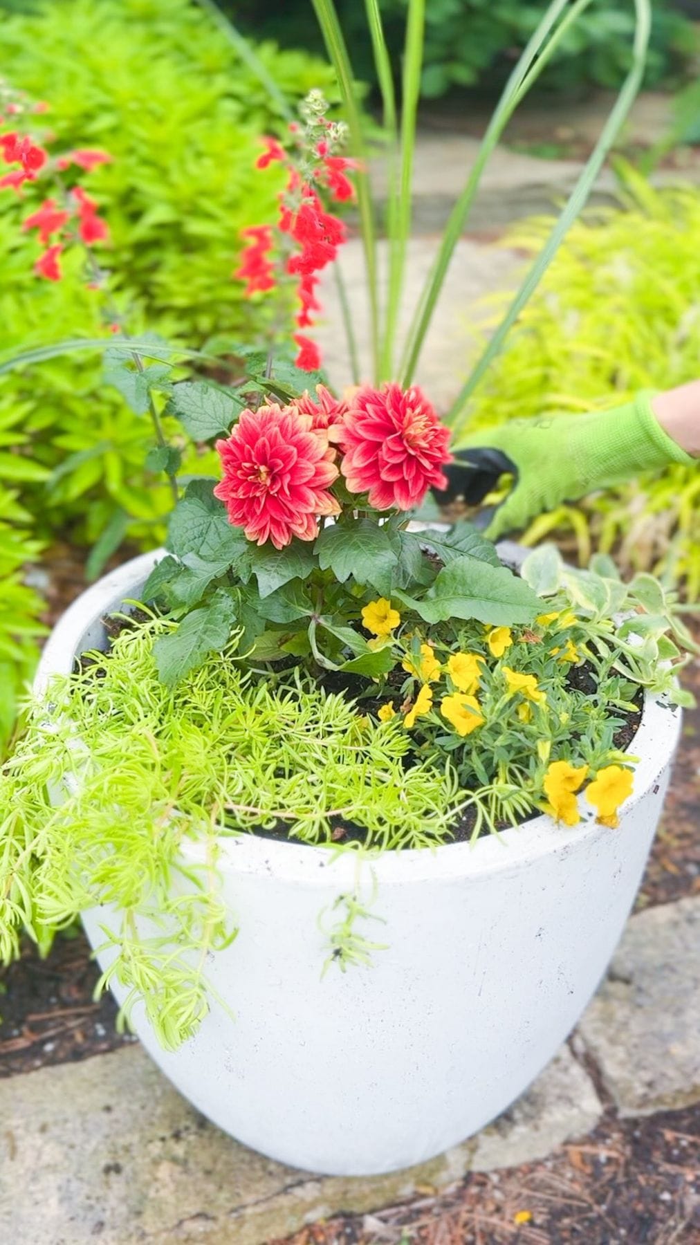 Planting hack: use empty pots to shape soil