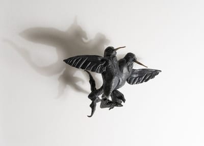 D Rosen Artworks
