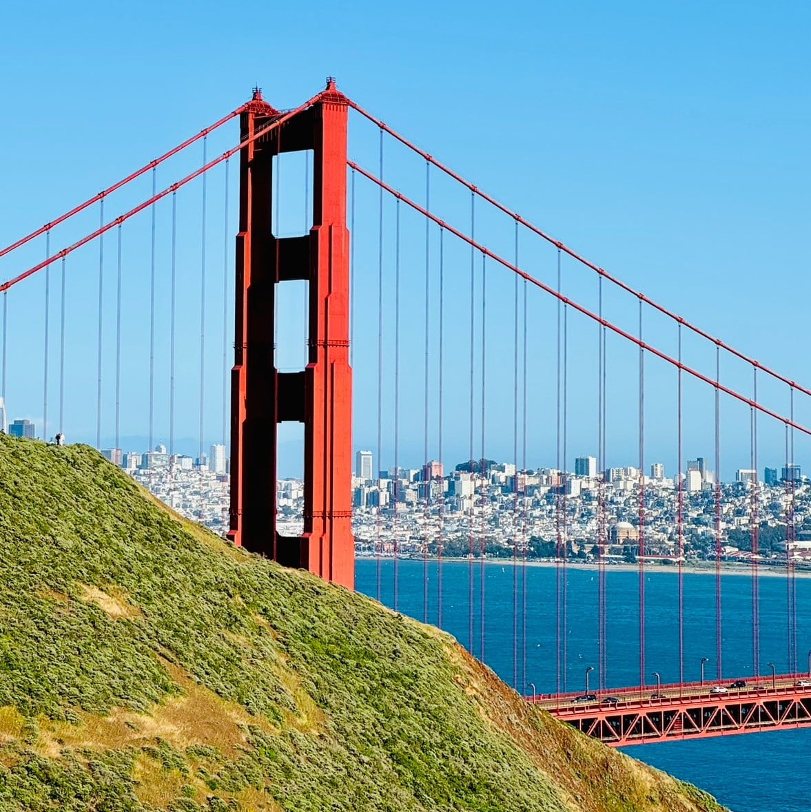 SF or bust 🌁