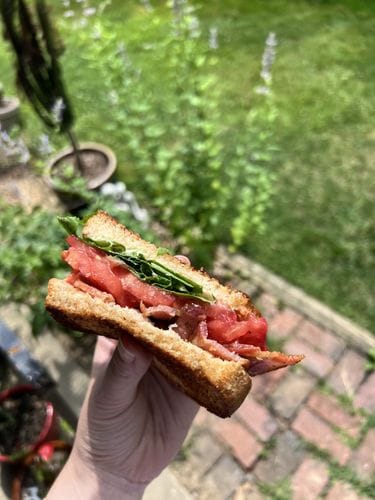 Garden BLT Recipe