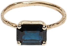 Jane Pope Jewelry Four Prong Rectangle Twig Ring