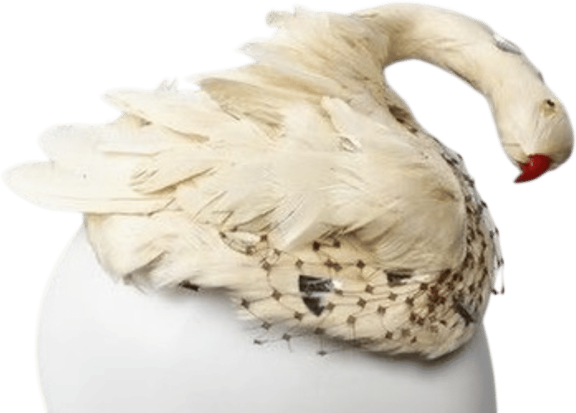 Merci, c’est vintage 