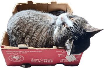 Buying Costco peaches mainly to get the box for your cat