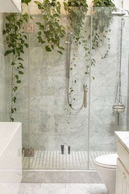 Essential Oils In The Shower