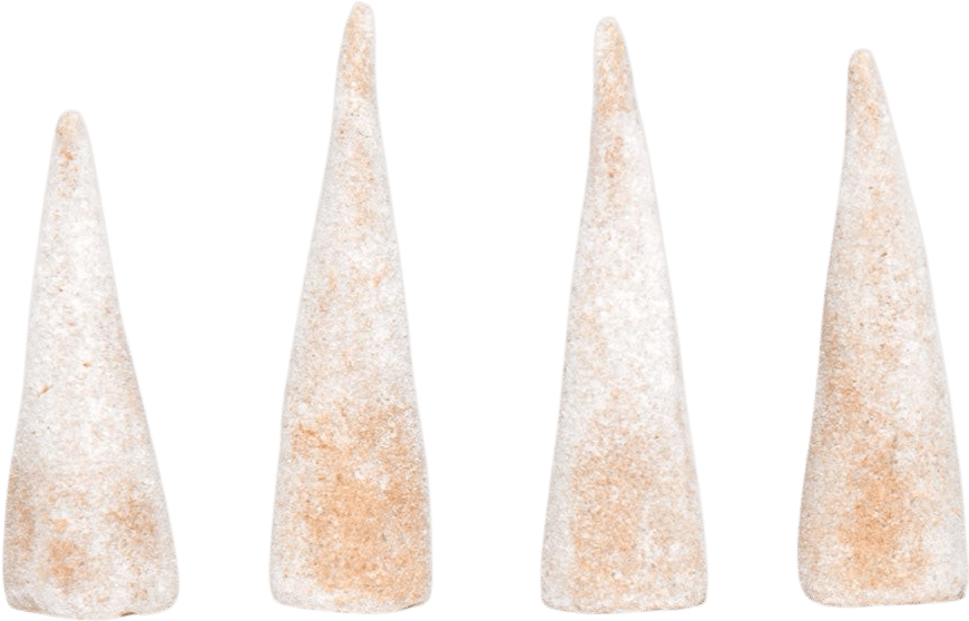 PLANT SAGE AND COPAL INCENSE CONES