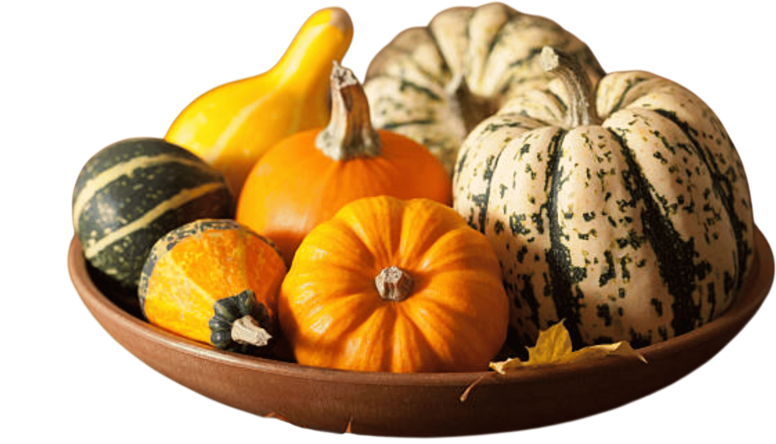 It's Decorative Gourd Season, Motherfuckers