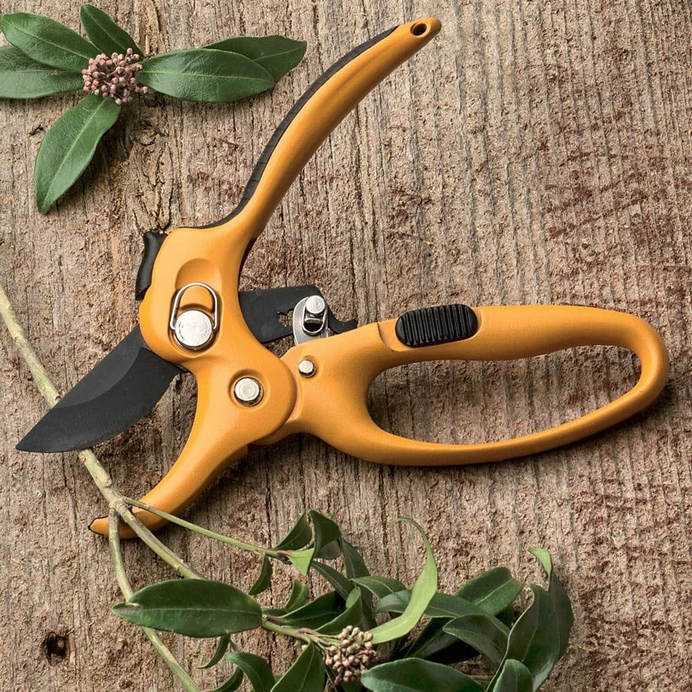 Ratcheting Hand Pruner