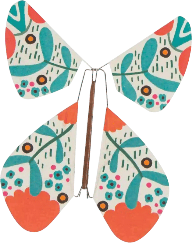 Magic Butterfly