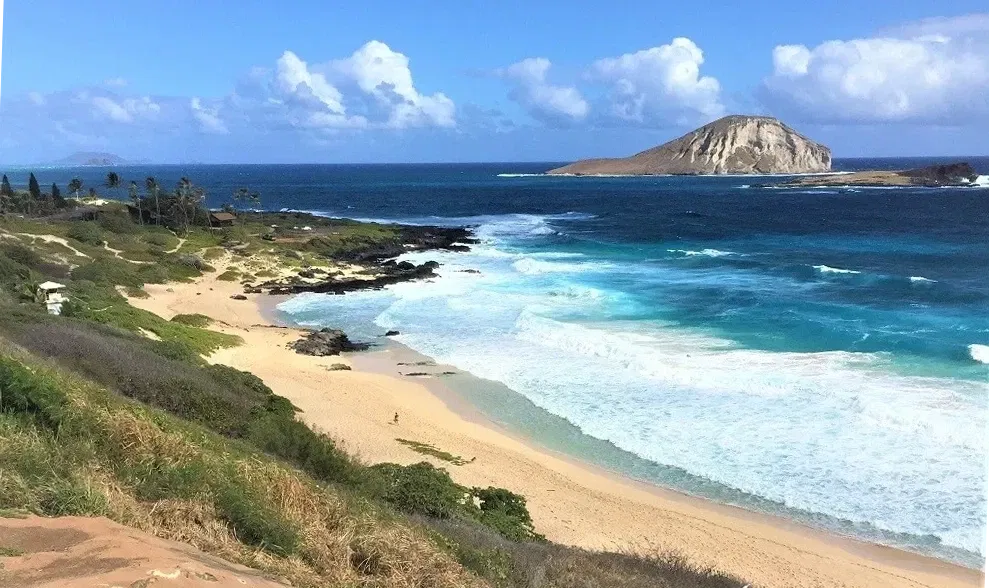 Respect the Ocean