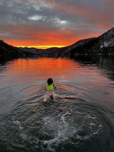 Always bring a swimsuit!