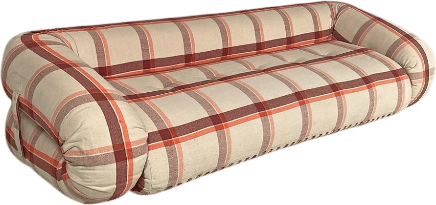 Anifibo- Alessandro Becchi