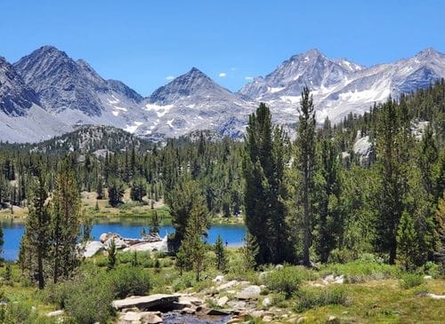 Inyo National Forest
