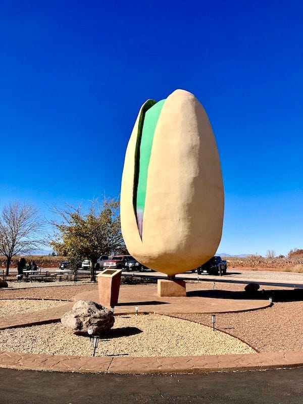 World's Largest Pistachio