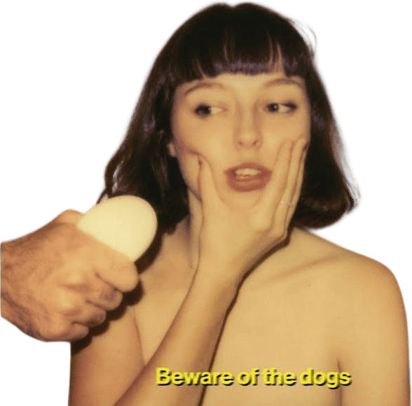 Beware of the Dogs