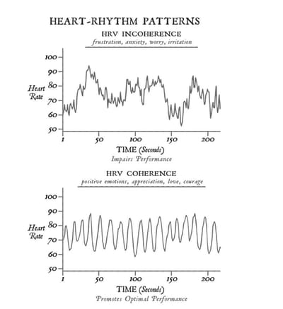 The Big Idea: Heart-Brain Coherence - A Simple Explanation (Substack Post)
