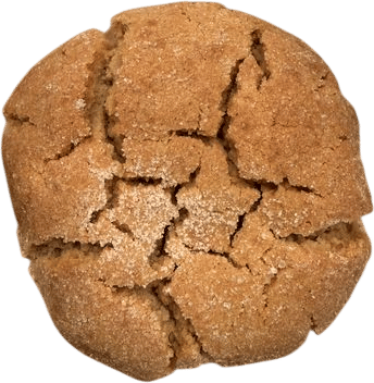 Partners Coffee’s peanut butter cookie