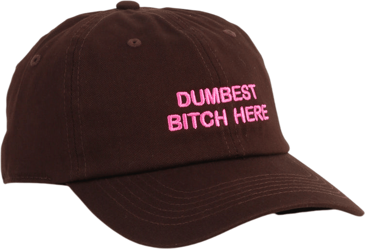 Dumbest Bitch Here Dad Cap