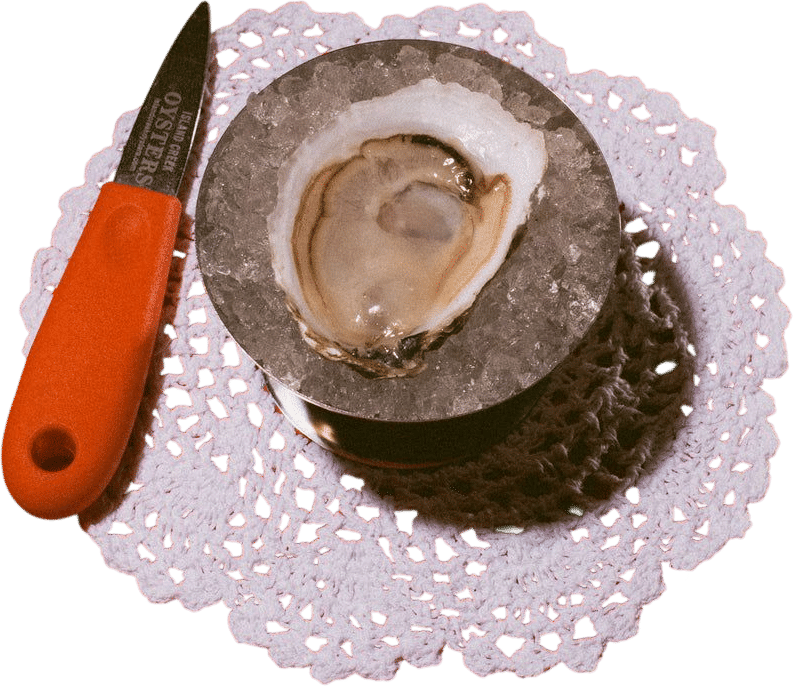 Island Creek Oysters