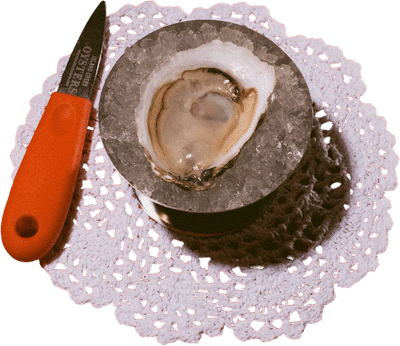 Island Creek Oysters