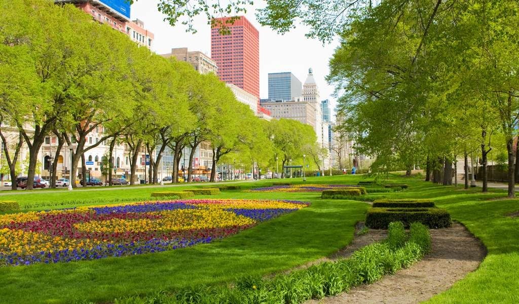 Take a trusted loved one with an iPhone to the park