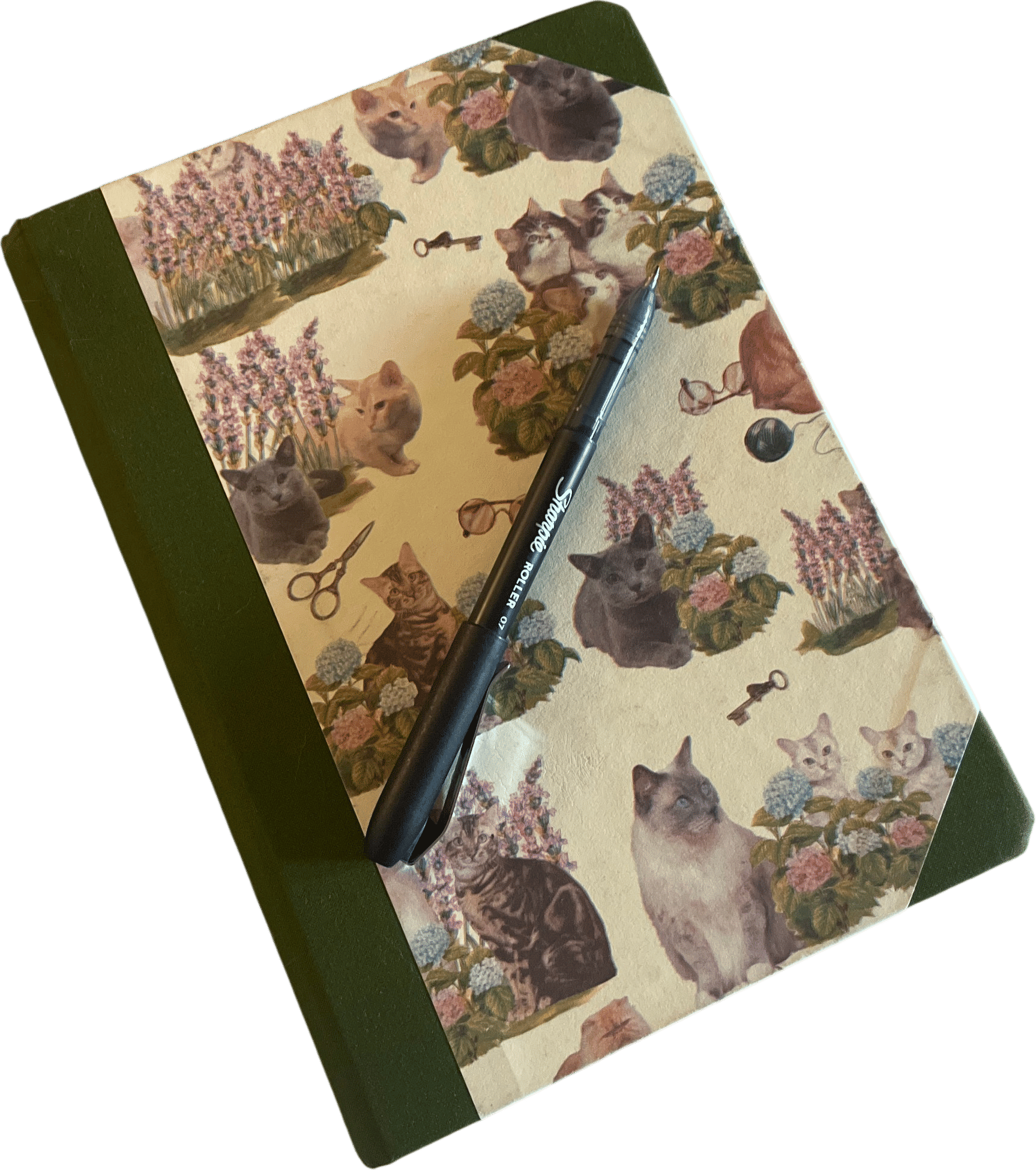 journaling monthly goals