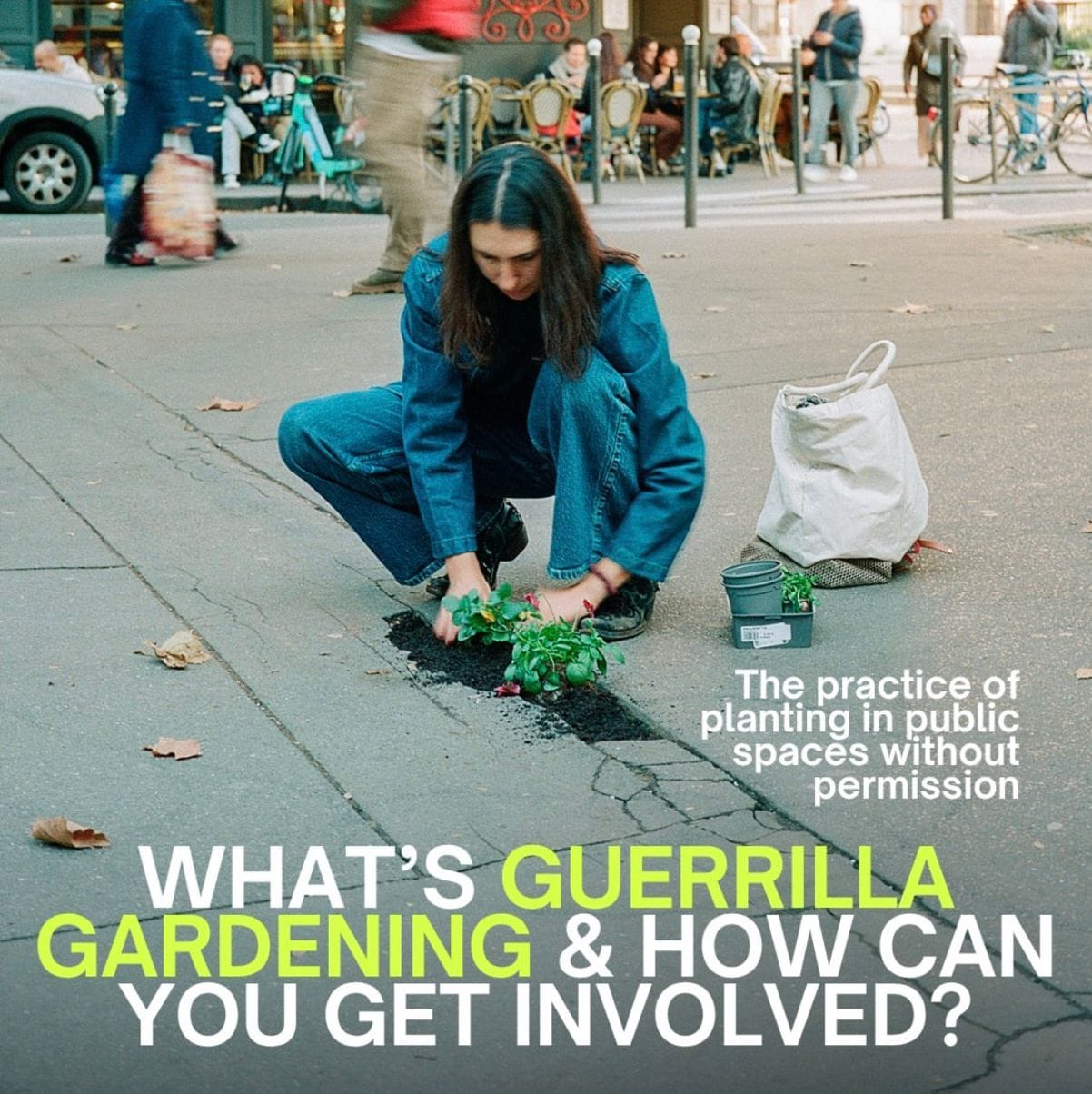 SERVICE95 - Guerilla Gardening