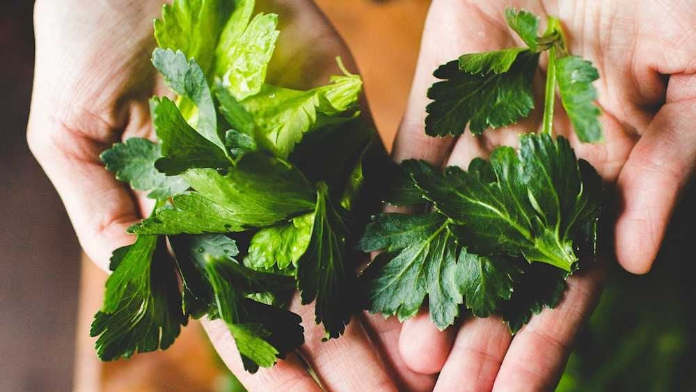 using your celery leaves!
