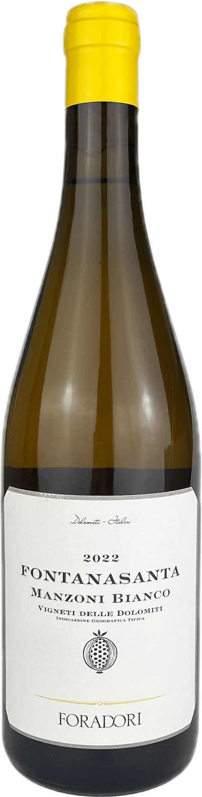 Fontanasanta Manzoni Bianco Vigneti delle Dolomiti