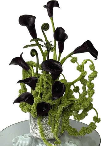 Members-Only Recommendation