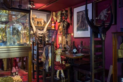 The Viktor Wynd Museum of Curiosities