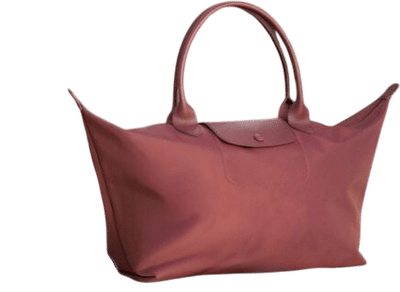 Le Pliage Tote Bag