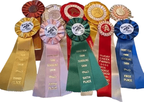 70s-90s Lot 10 horse show ribbons rosettes crafts Georgia North Dakota Oregon