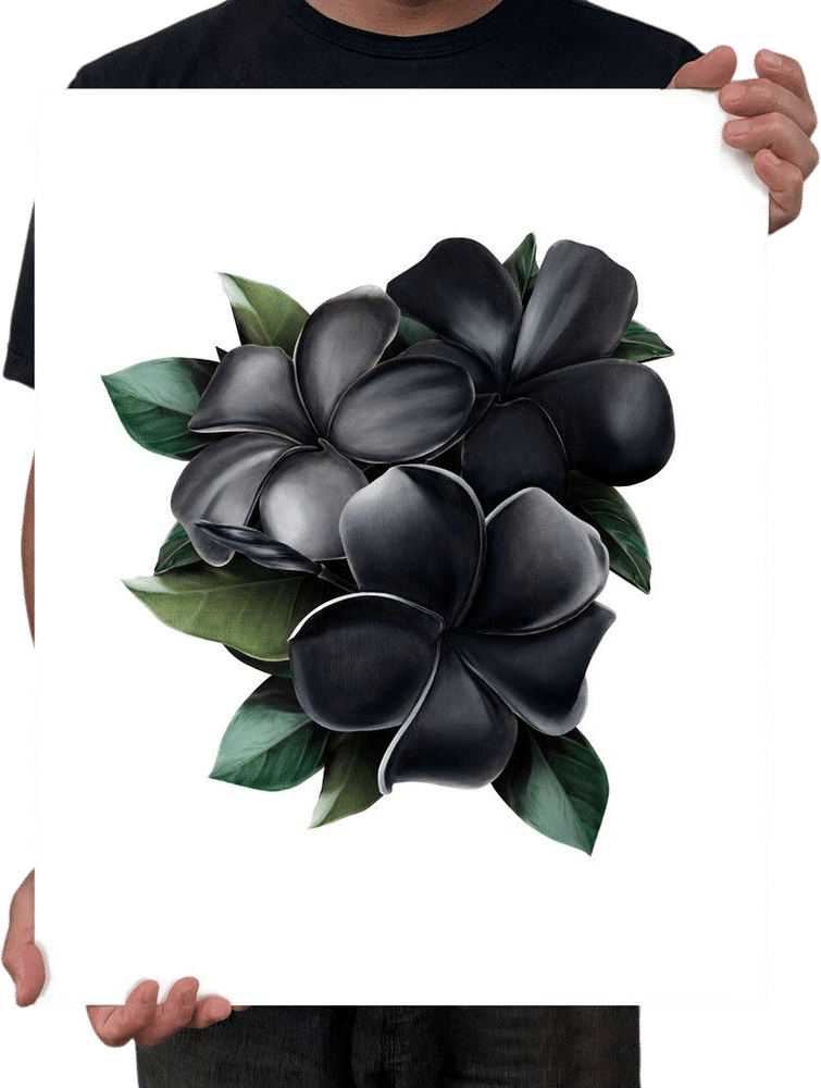 Black Plumeria | KameaHadar.com