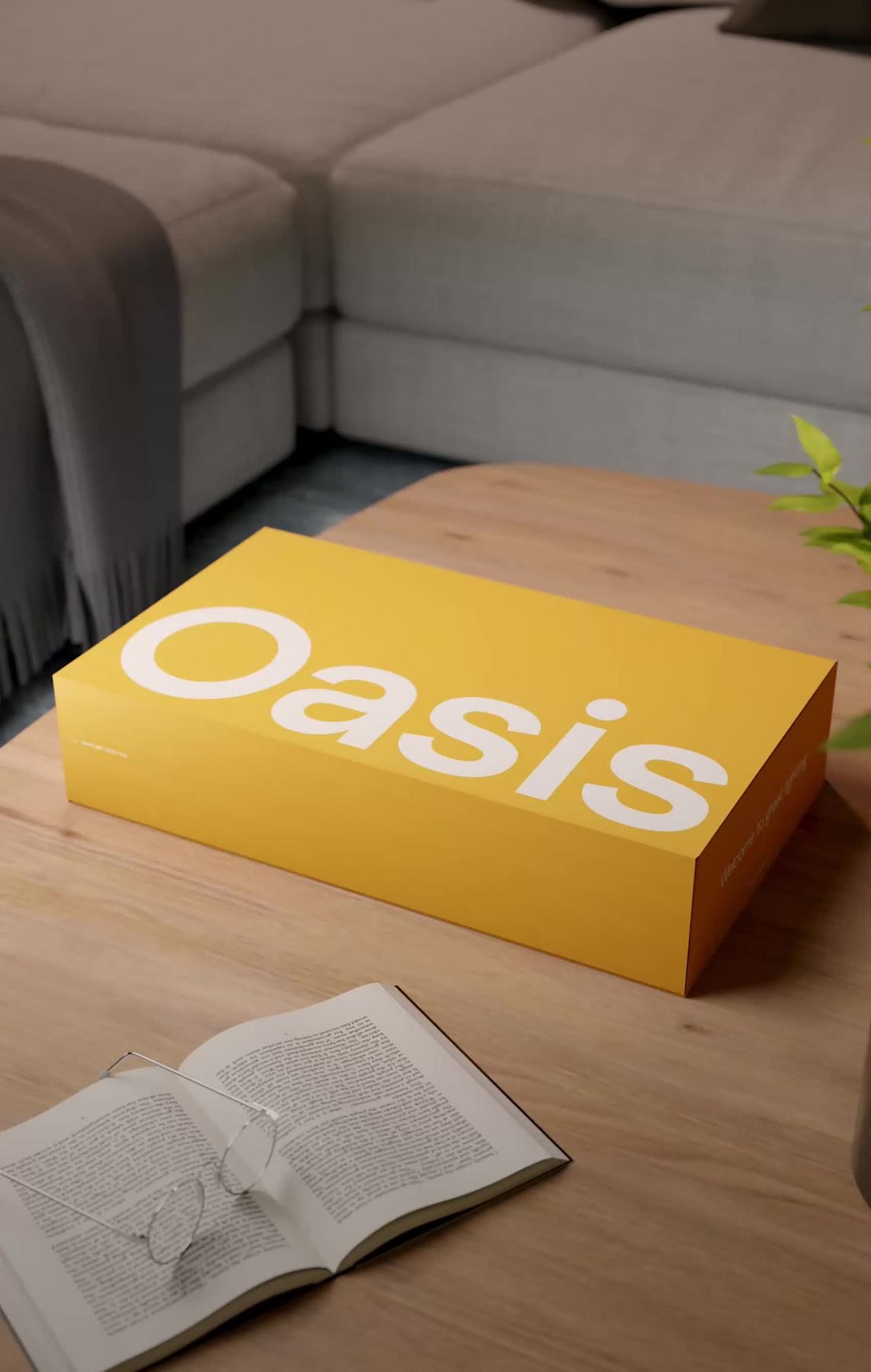 Oasis lights!