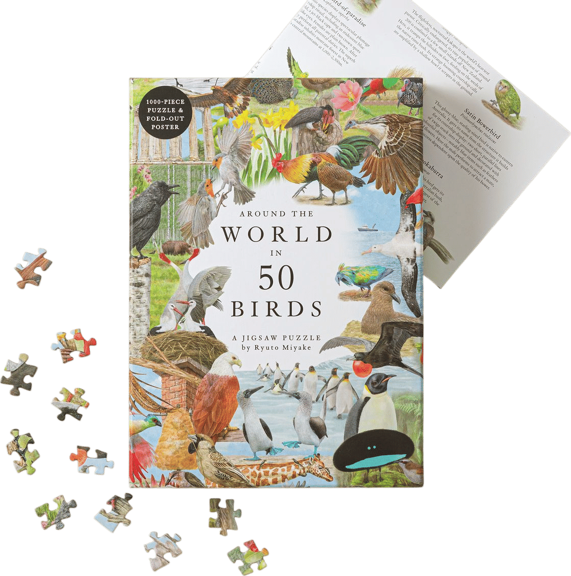 Puzzling!