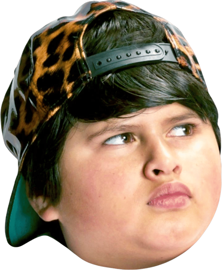 Hunt for the Wilderpeople