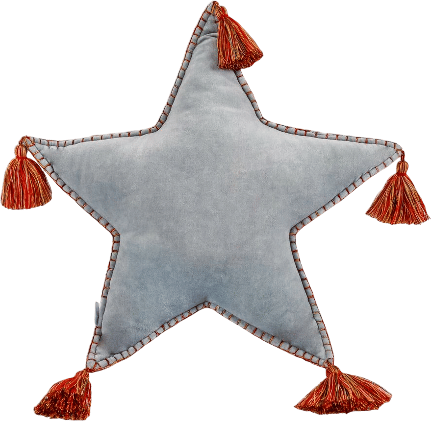 HGTV Home Collection Tassels Cotton Reversible Throw Pillow