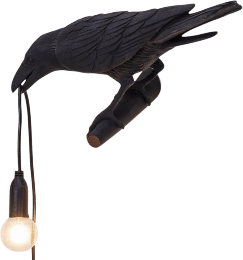 Black bird light