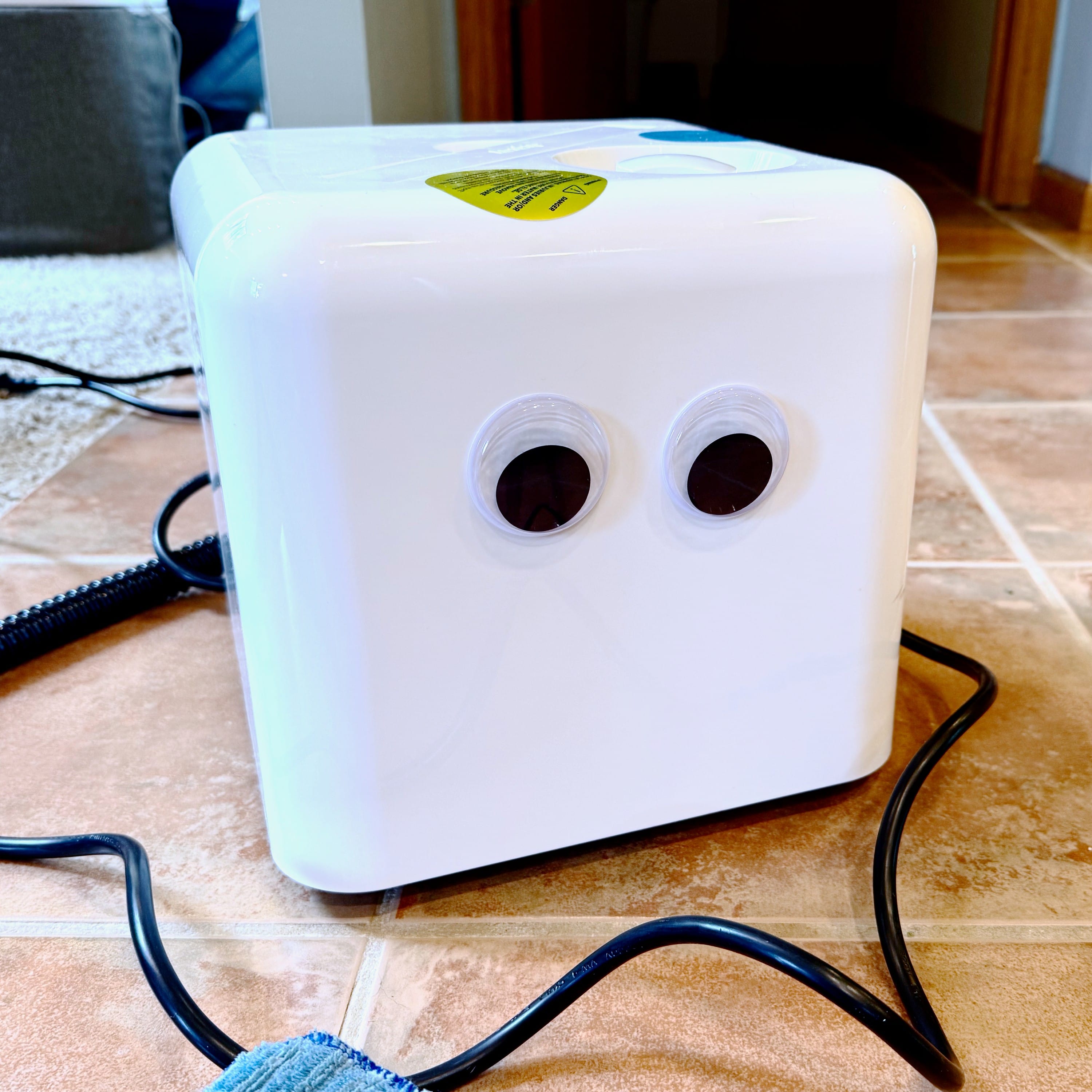 Putting big googly eyes on things