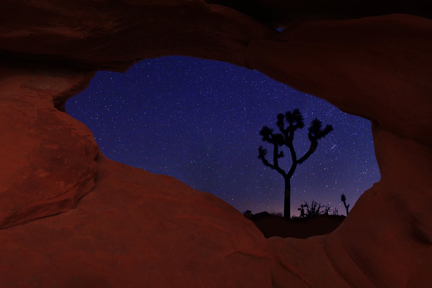 The Full Moon Tour with Joshua Tree Astronomy Adventures