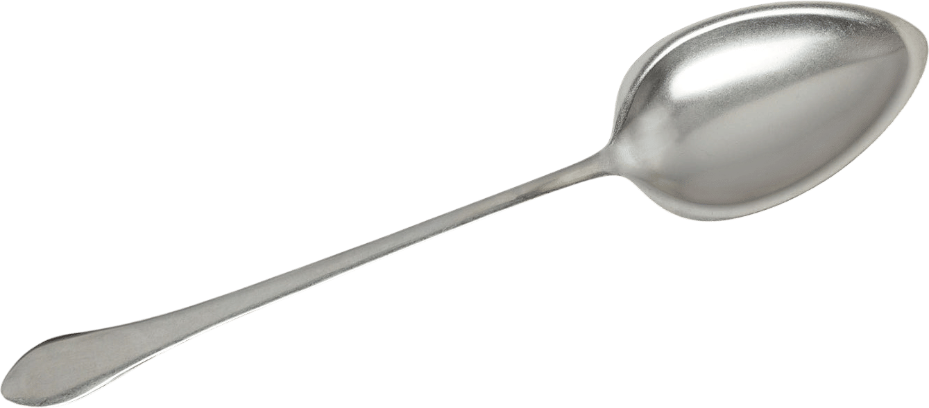 01 Silver Spoon