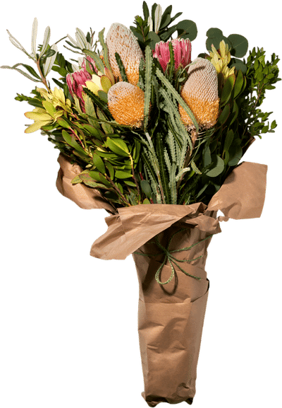 Bloom Bundle