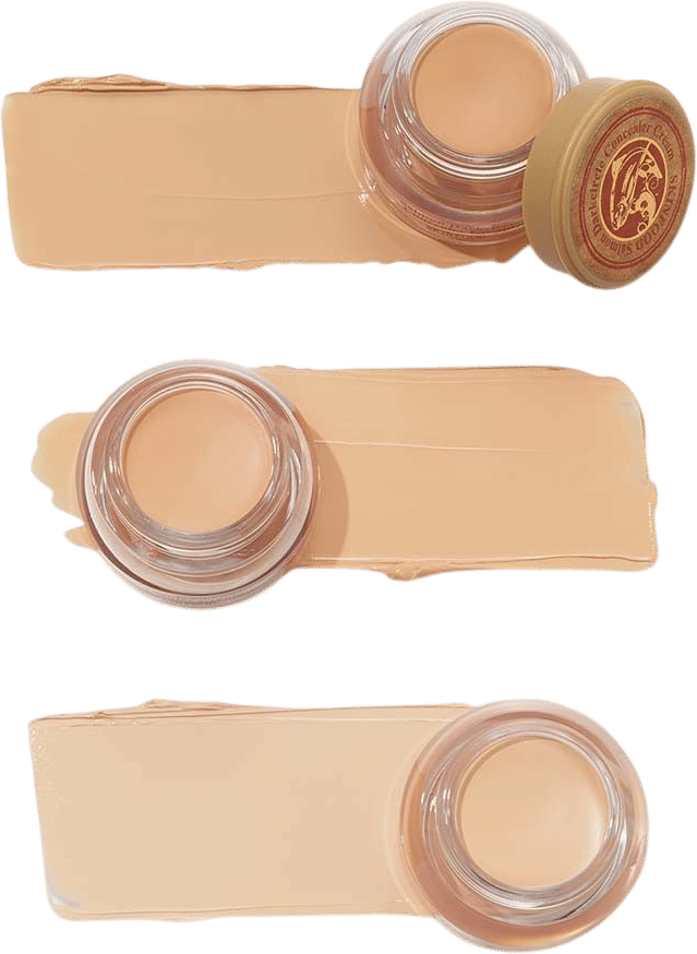 Skinfood Salmon Concealer