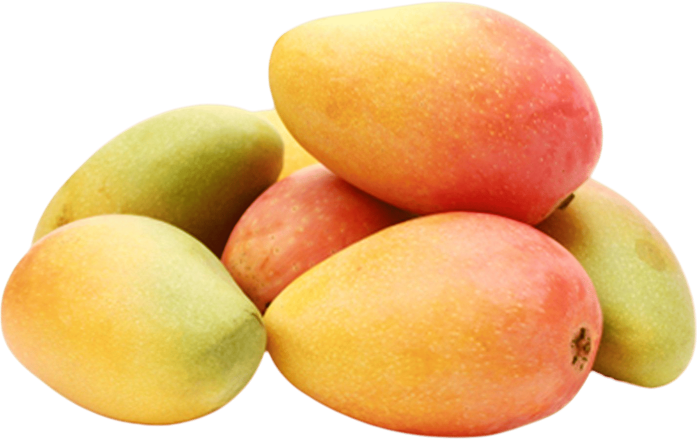 indio mango