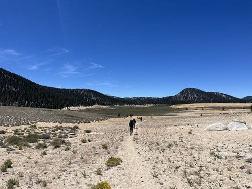 Golden Trout Wilderness