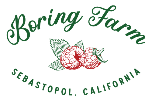 Boring Farm Raspberry Upick