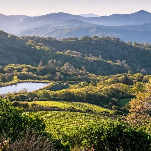 Healdsburg Square Guide 